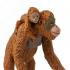 Μινιατούρες Safari - Orangutan with Baby - Ουρακοτάγκος με Μωρό