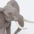 Μινιατούρες Safari - African Bull Elephant - Αφρικανικός Ελέφαντας
