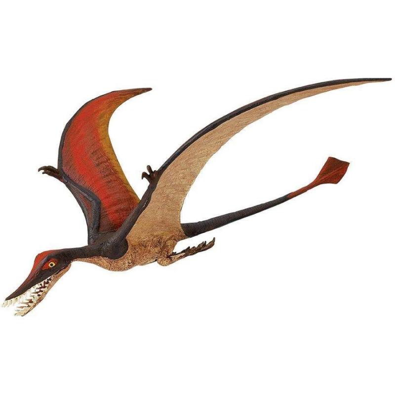 Μινιατούρες Safari - Ramphorhynchus - Ραμφόρρυγχος