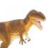 Μινιατούρες Safari - Carcharodontosaurus - Καρχαροδοντόσαυρος