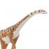 Μινιατούρες Safari - Malawisaurus - Μαλαουίσαυρος