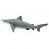 Μινιατούρες Safari - Bull Shark - Ταυροκαρχαρίας