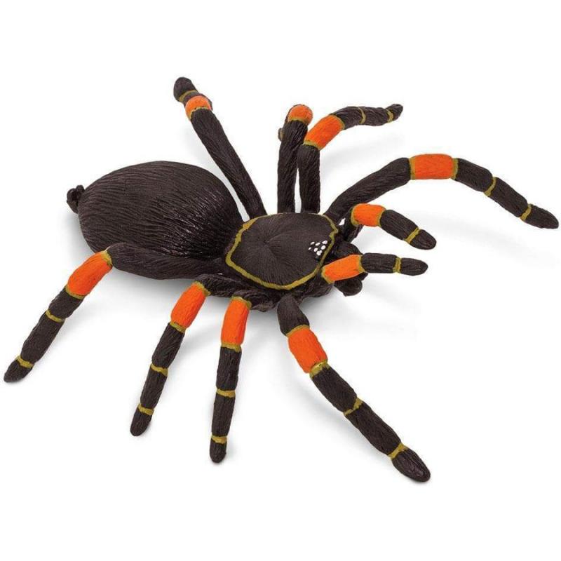 Μινιατούρες Safari - Orange-kneed Tarantula - Ταραντούλα με Πορτοκαλί Γόνατα