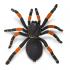 Μινιατούρες Safari - Orange-kneed Tarantula - Ταραντούλα με Πορτοκαλί Γόνατα
