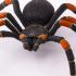 Μινιατούρες Safari - Orange-kneed Tarantula - Ταραντούλα με Πορτοκαλί Γόνατα