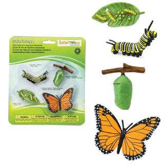 Μινιατούρες Safari - Life Cycle of a Monarch Butterfly - Κύκλος Ζωής μιας Πεταλούδας Μονάρχη