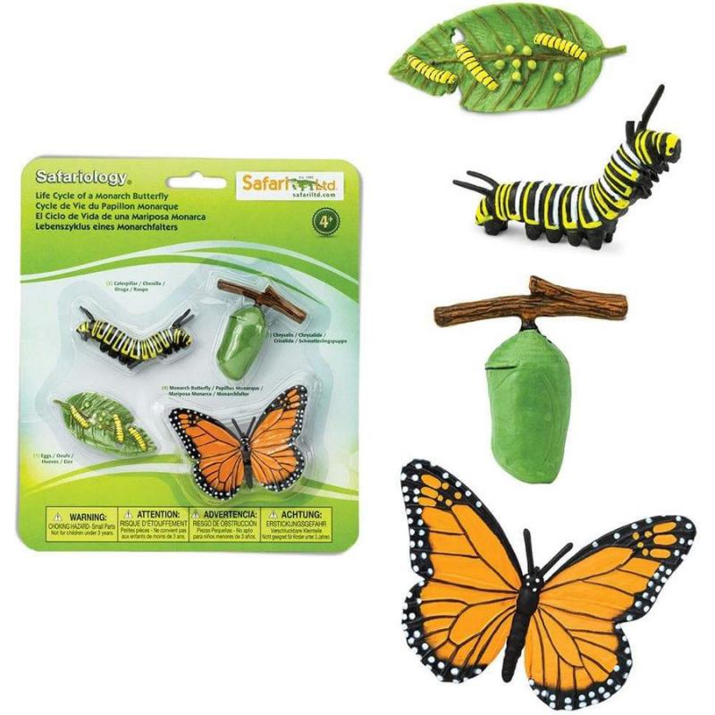 Μινιατούρες Safari - Life Cycle of a Monarch Butterfly - Κύκλος Ζωής μιας Πεταλούδας Μονάρχη