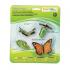 Μινιατούρες Safari - Life Cycle of a Monarch Butterfly - Κύκλος Ζωής μιας Πεταλούδας Μονάρχη