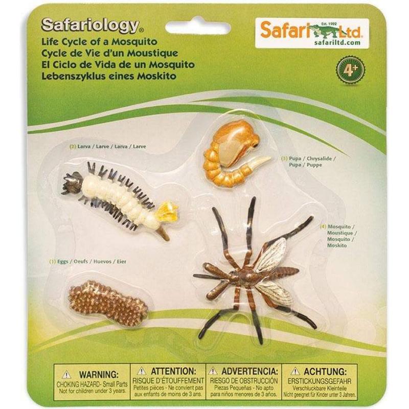 Μινιατούρες Safari - Life Cycle of a Mosquito - Κύκλος Ζωής ενός Κουνουπιού