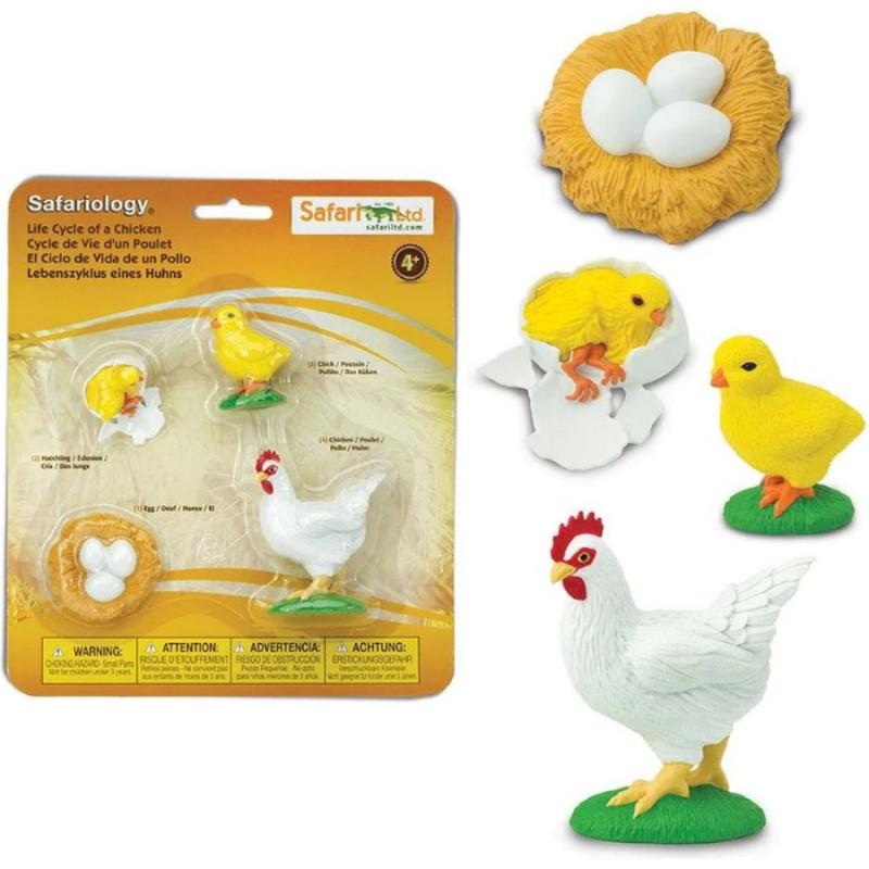 Μινιατούρες Safari - Life Cycle of a Chicken - Κύκλος Ζωής ενός Κοτόπουλου