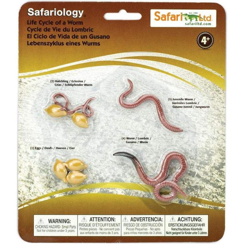 Μινιατούρες Safari - Life Cycle of a Worm - Κύκλος Ζωής ενός Σκουλικιού