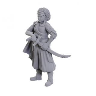 D&D Nolzur's Marvelous Miniatures Unpainted Miniatures Ansalon Human Rogue 10 cm