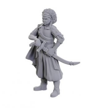 D&D Nolzur's Marvelous Miniatures Unpainted Miniatures Ansalon Human Rogue 10 cm