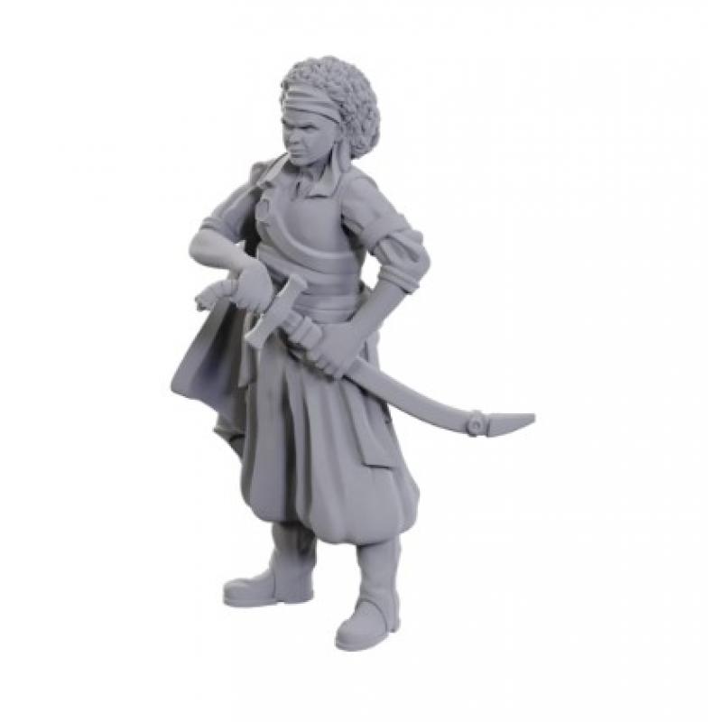 D&D Nolzur's Marvelous Miniatures Unpainted Miniatures Ansalon Human Rogue 10 cm