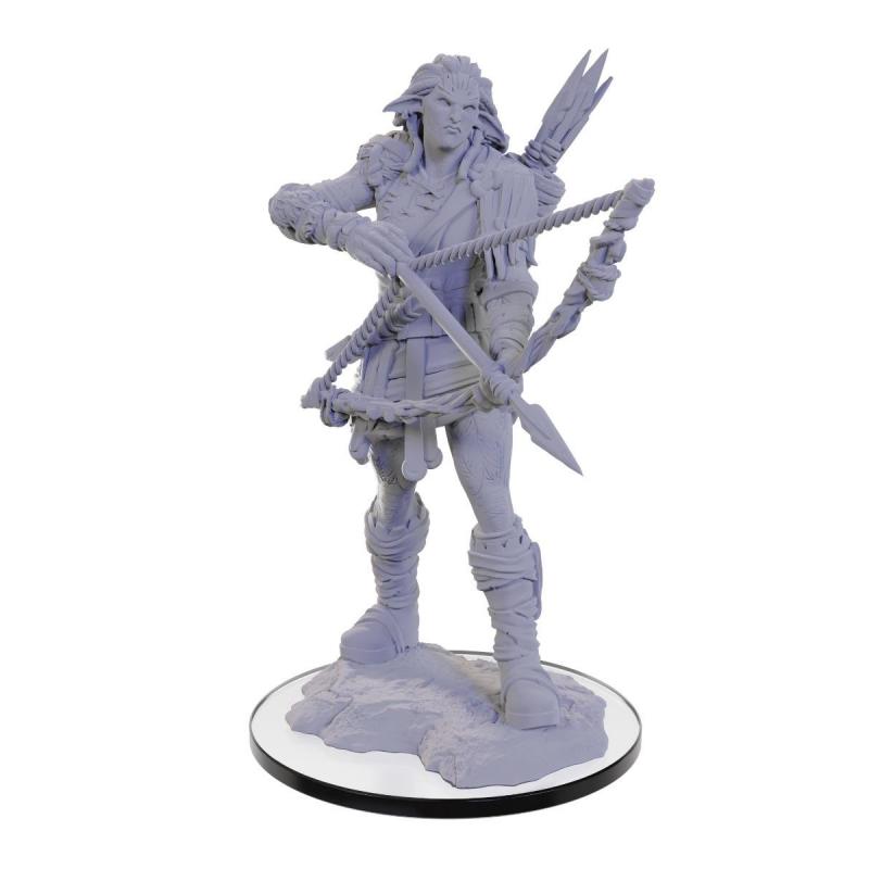Pathfinder Deep Cuts Unpainted Miniature Wood Giant