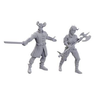 D&D Nolzur's Marvelous Miniatures Unpainted Miniature Wyll & Karlach