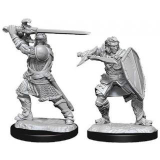 D&D Nolzur's Marvelous Miniatures: Human Paladin Male