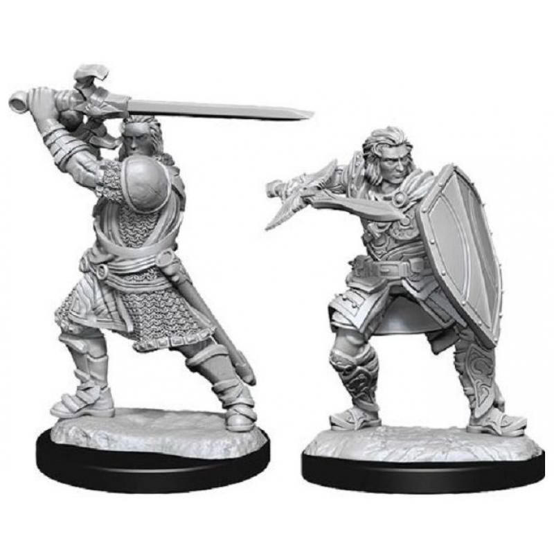 D&D Nolzur's Marvelous Miniatures: Human Paladin Male