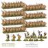 Spartan Starter Army - Hail Caesar - Warlord